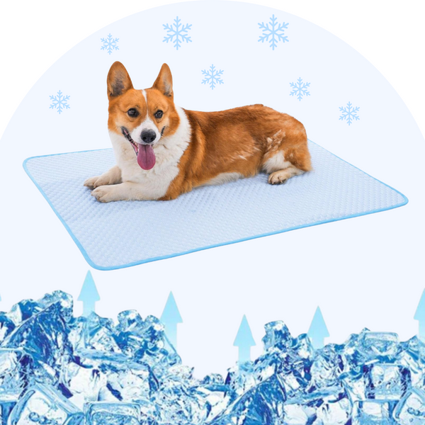 ChillPaws™ Pet Cooling Mat